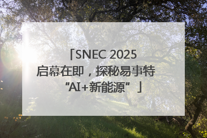 SNEC 2025启幕在即，探秘易事特“AI+新能源”